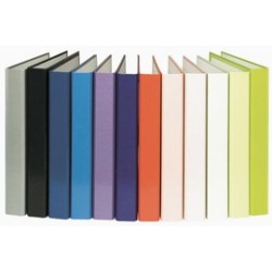 Segregator Bantex A4/2ringi jasoróż.132002